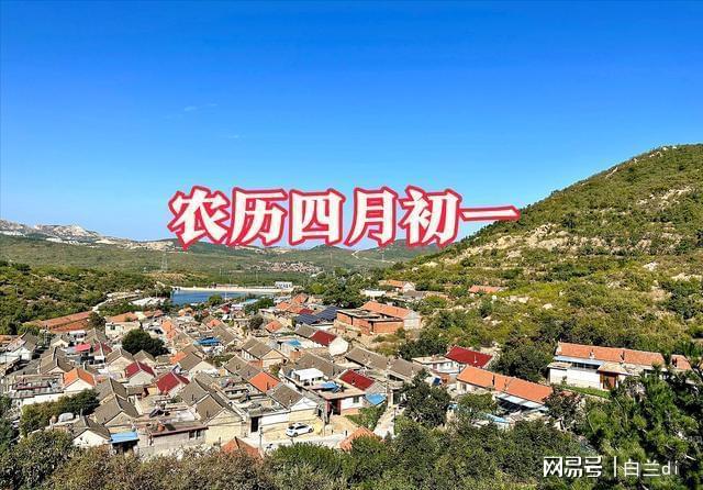 九游娱乐文化：野菜豆腐里的千年密码：一场都市人看不懂的田间仪式(图3)