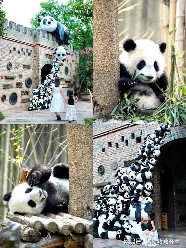 九游娱乐文化：4天出发成都适合去哪儿旅游四川四日游来看驴友景点分享(图2)