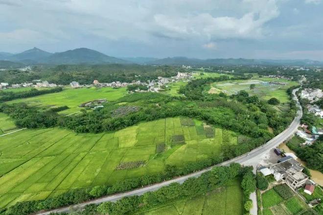 开工！玉林一县二级路扩建途径多个乡镇……(图1)