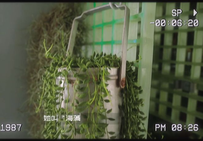 九游娱乐文化：豆瓣评分91国产片《好东西》的家才像活人住的(图23)