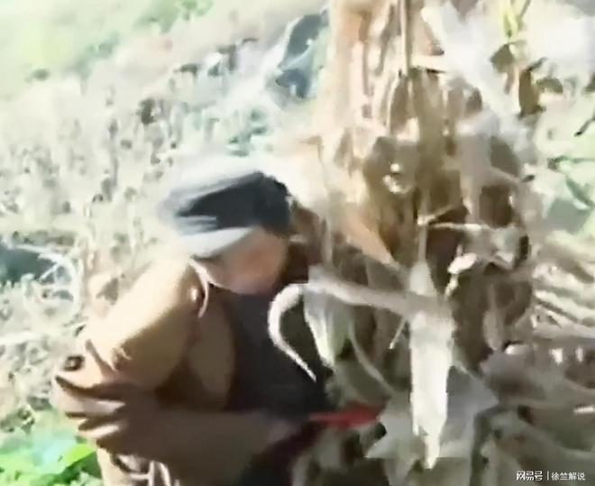 12岁重庆女孩每天吃8顿饭体重仅30公斤引发关注。(图5)