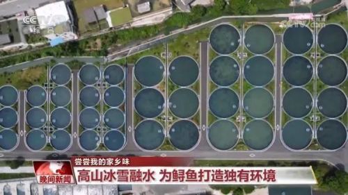 老外爱惨的中国“三蹦子”到底啥来头？(图13)