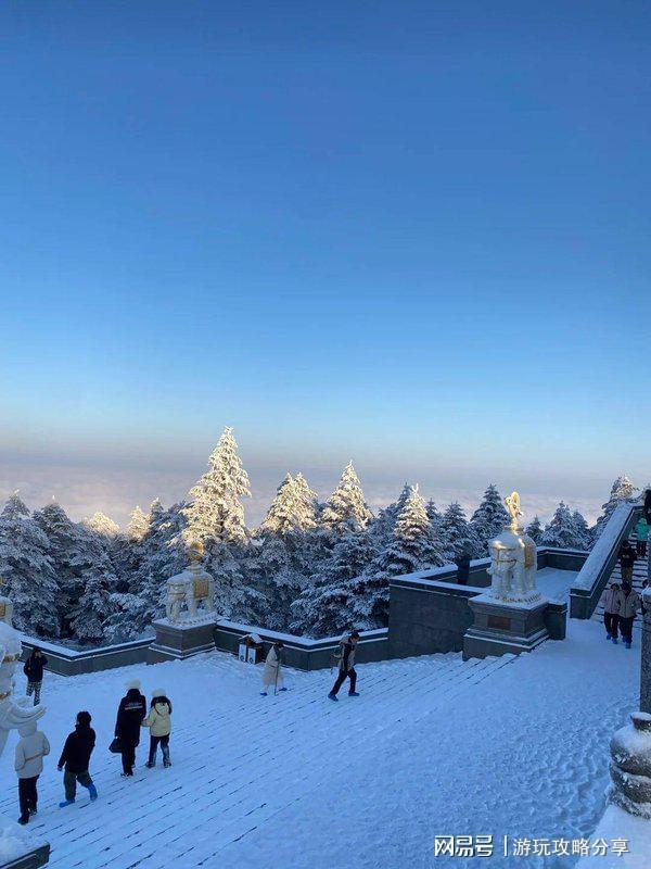 【必读旅游指南】四川旅游纯玩团报价成都四天三夜攻略(图1)