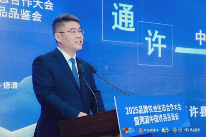 从田间地头到国际舞台溯源河南酸辣粉的“味蕾长征”之路(图1)