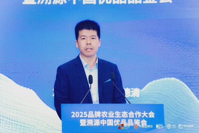 从田间地头到国际舞台溯源河南酸辣粉的“味蕾长征”之路(图9)