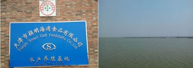 九游娱乐文化：颖明海湾食品：坚守食品安全底线共赴行业新征程(图1)