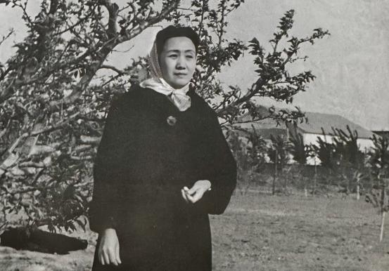 九游娱乐文化：她离婚放弃财产只要4个女儿遭尽嘲笑不料10年后名满上海滩(图7)