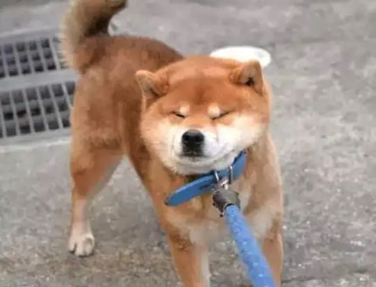 一边裁员一边找人代工娃哈哈还是以前那个娃哈哈吗？(图10)