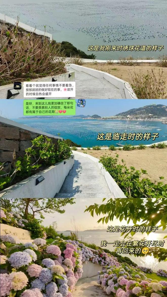 民宿义工：谁薅了谁的羊毛？(图4)