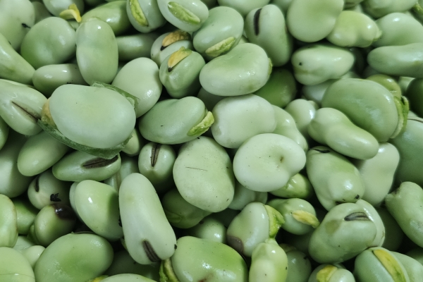 九游娱乐文化：豆瓣酱的功效与作用、禁忌和食用方法(图3)