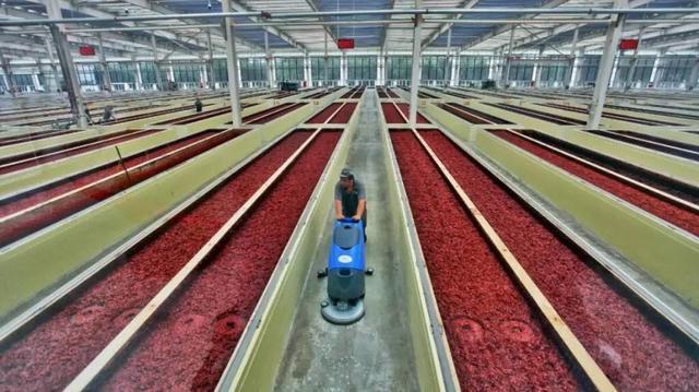 我敢赌：每个成都人屋头必有1罐！(图7)