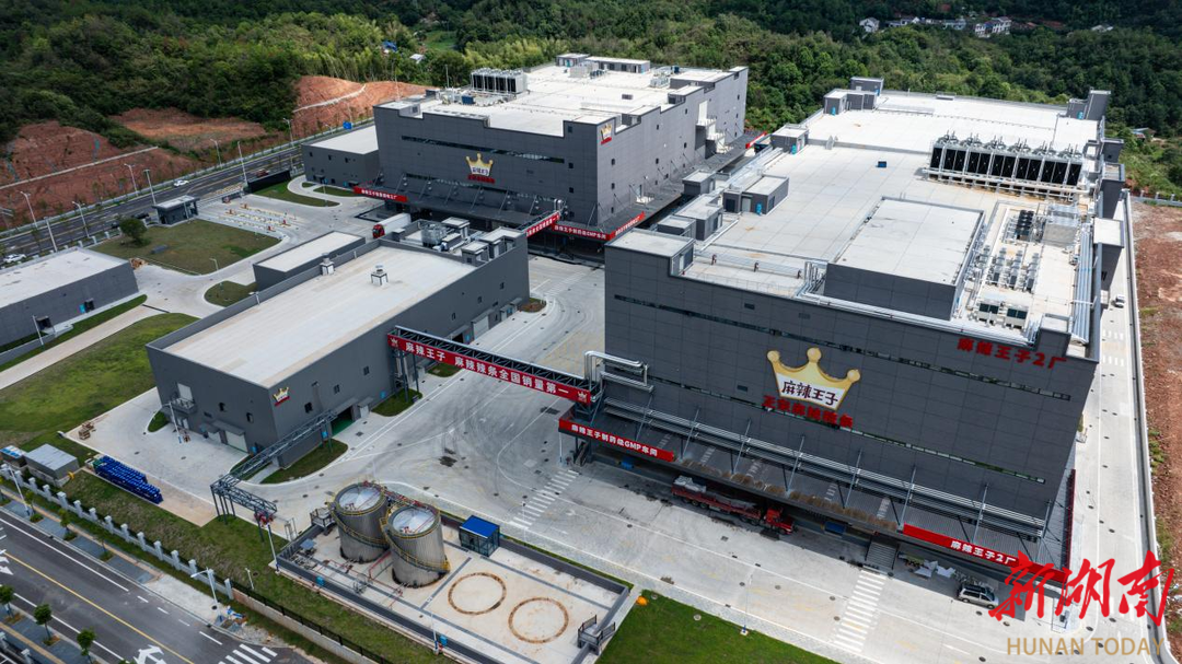 麻辣王子全国首个辣条智能工厂在湖南平江投产(图2)