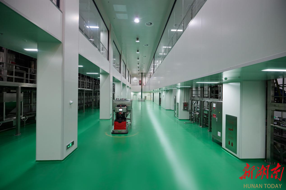 麻辣王子全国首个辣条智能工厂在湖南平江投产(图4)