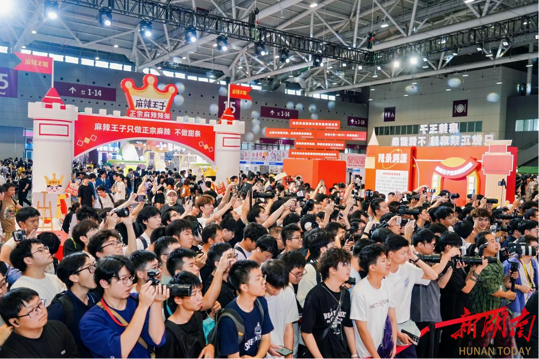 麻辣王子全国首个辣条智能工厂在湖南平江投产(图5)