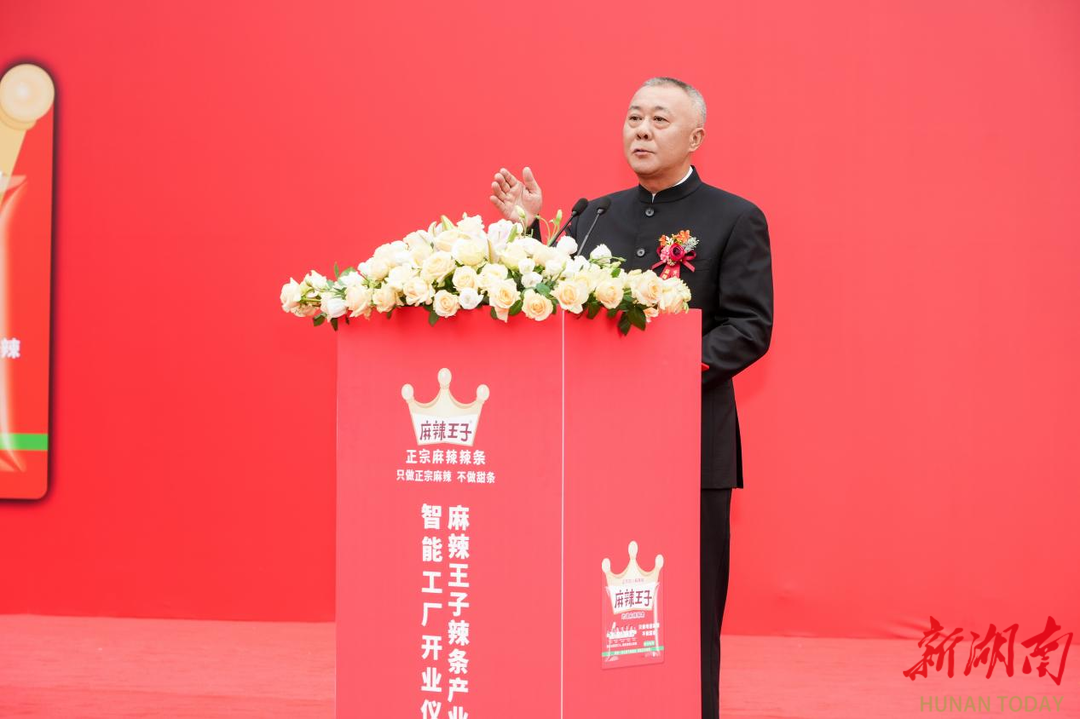 麻辣王子全国首个辣条智能工厂在湖南平江投产(图7)