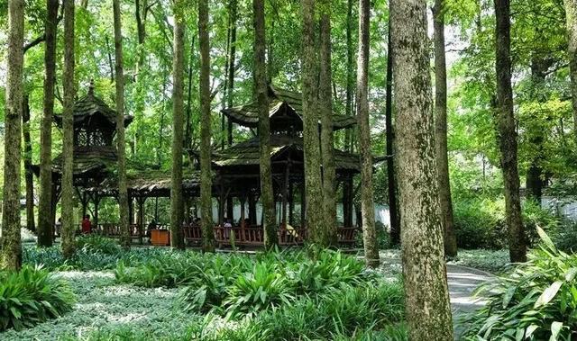 珍水润天府·都江花月夜(图16)