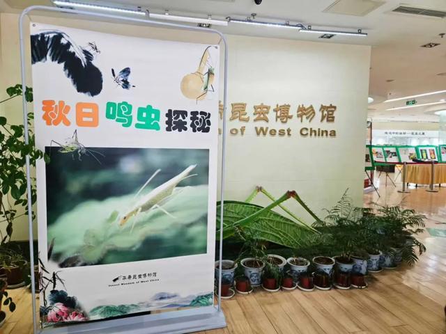 珍水润天府·都江花月夜(图30)