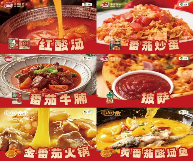 番茄风味爆火的背后是番茄“全产业链”的胜利(图12)