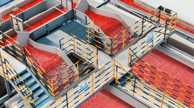 番茄风味爆火的背后是番茄“全产业链”的胜利(图11)