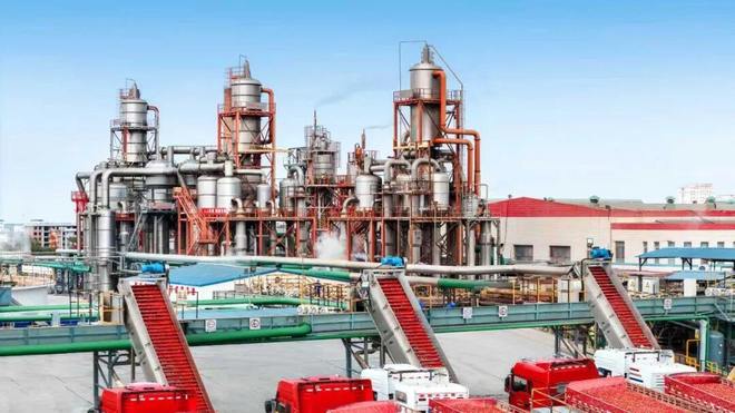 番茄风味爆火的背后是番茄“全产业链”的胜利(图9)