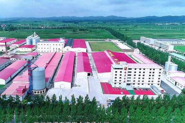 笃行30载:香其食品演绎“酱人匠心”(图4)