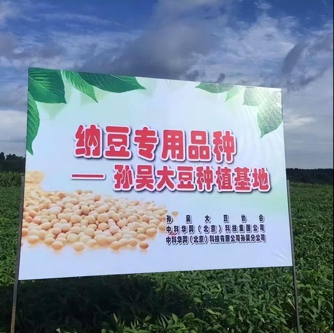 九游娱乐:年赚上百亿!中国起源的“发霉豆”火遍日本还成国家战略物资(图7)
