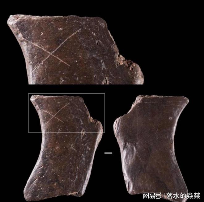 四川濛溪河遗址:一场洪水冲出8万年人类密码数万年前的远古世界(图9)