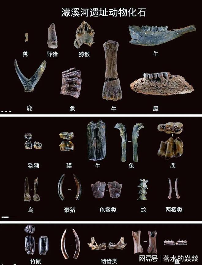 四川濛溪河遗址:一场洪水冲出8万年人类密码数万年前的远古世界(图11)