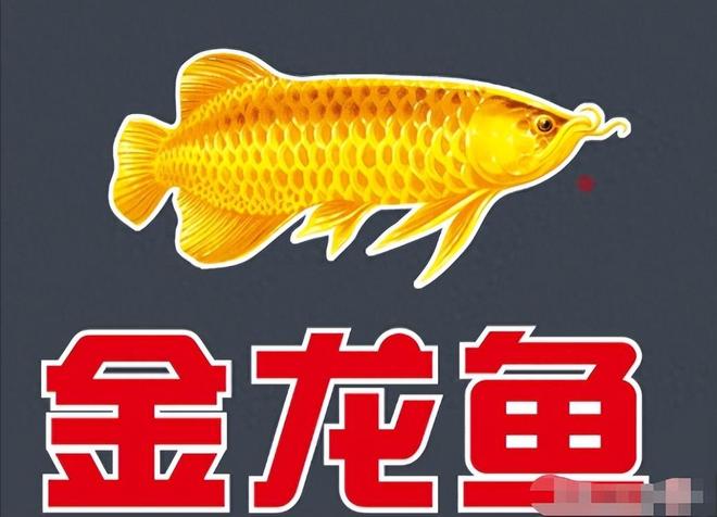 一年狂赚2500亿它潜伏我国34年被误认为是国货实际是洋货！(图2)