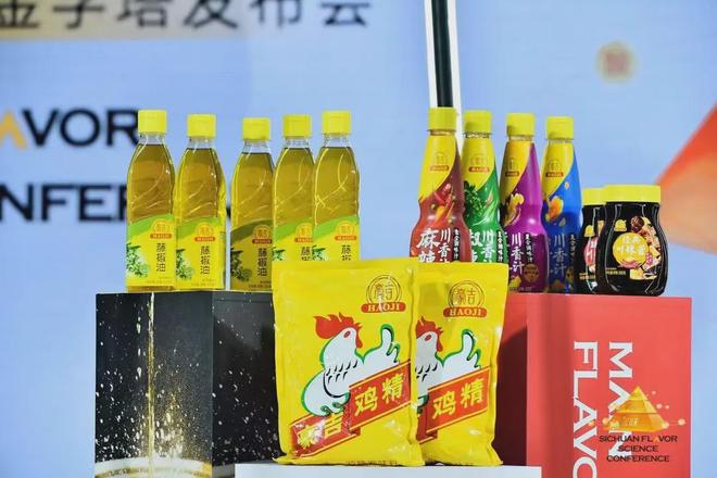 雀巢旗下第二大调味品品牌豪吉迎来新帅(图2)