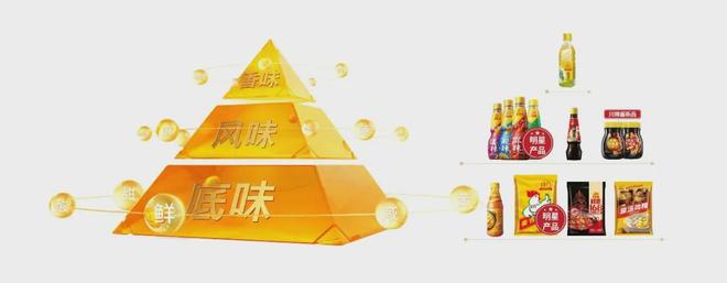 雀巢旗下第二大调味品品牌豪吉迎来新帅(图4)