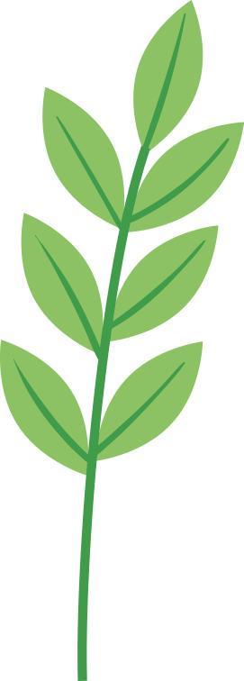 在成都种出100种辣椒台湾创客曹圣和的“辣椒王国”成长记｜拓维·2025(图3)