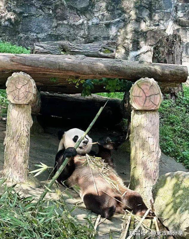 成都三日游最佳去处四川晚上好玩的地方(图5)