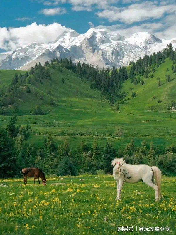 成都三日游最佳去处四川晚上好玩的地方(图2)