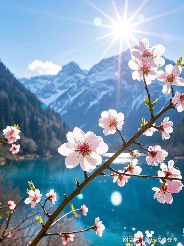 如何到达春节四川旅游攻略4日游周边酒店(图1)