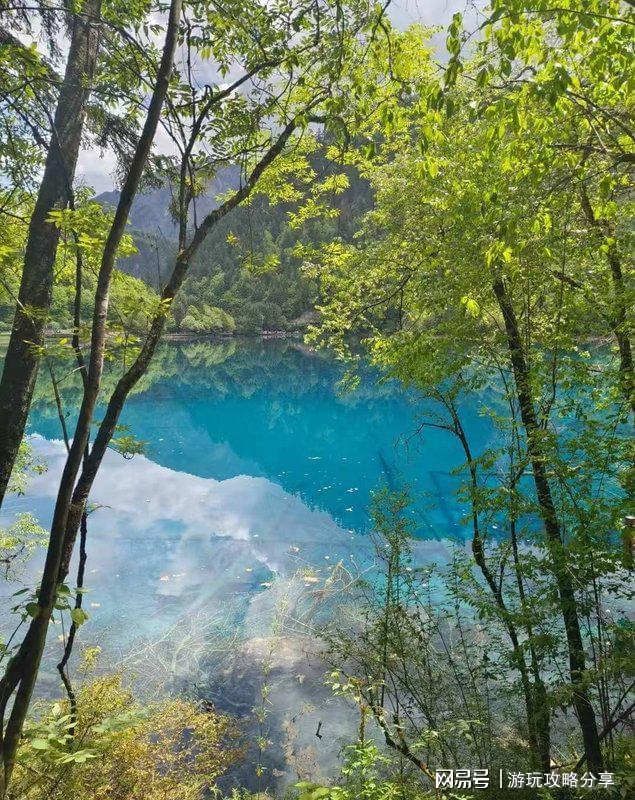 如何到达春节四川旅游攻略4日游周边酒店(图2)