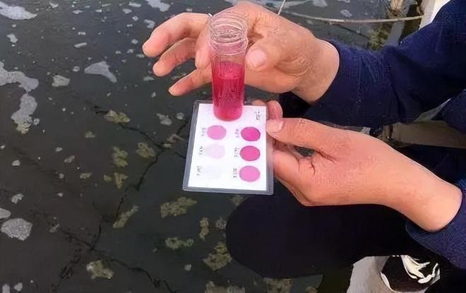 才六岁!2024年福建男童吃太多毒发时“青面獠牙”(图23)