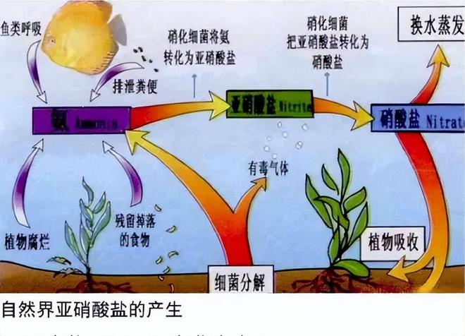 才六岁!2024年福建男童吃太多毒发时“青面獠牙”(图19)