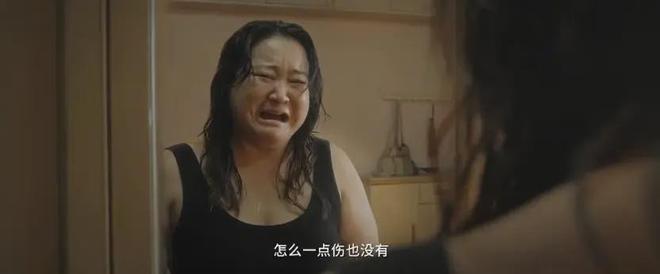 九游娱乐文化:2024评分最高十部国产片:《第二十条》第10名《破地狱》第3名(图11)