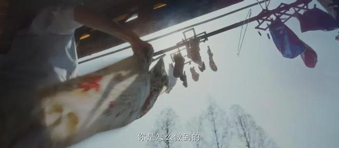 九游娱乐文化:2024评分最高十部国产片:《第二十条》第10名《破地狱》第3名(图67)