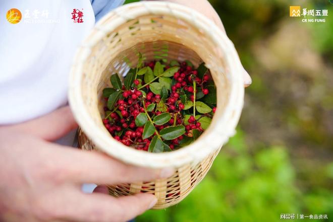 五丰黎红x四川省川联川菜调料商会x四川省餐饮文化促进会花椒活动(图3)
