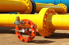 2024年中国调味品行业发展现状及趋势(图5)