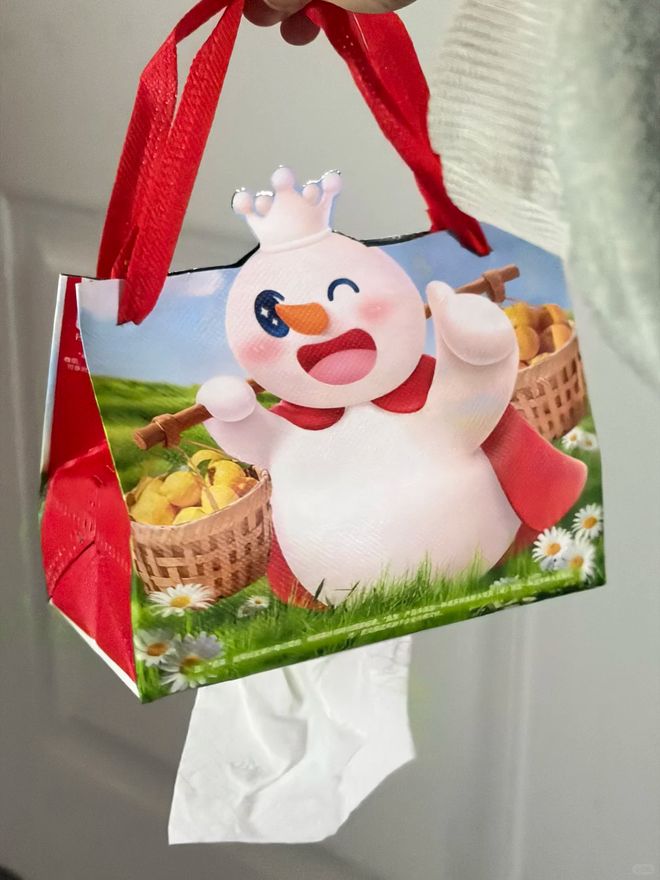 一生节俭的中国人怎样“不花钱收纳?”评论区一个比一个厉害(图11)