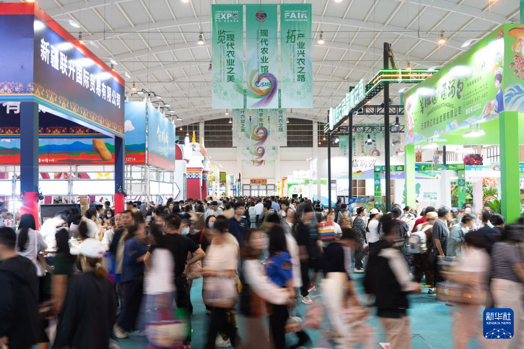 第9届中国—南亚博览会闭幕(图3)