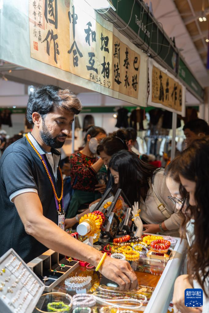 第9届中国—南亚博览会闭幕(图5)