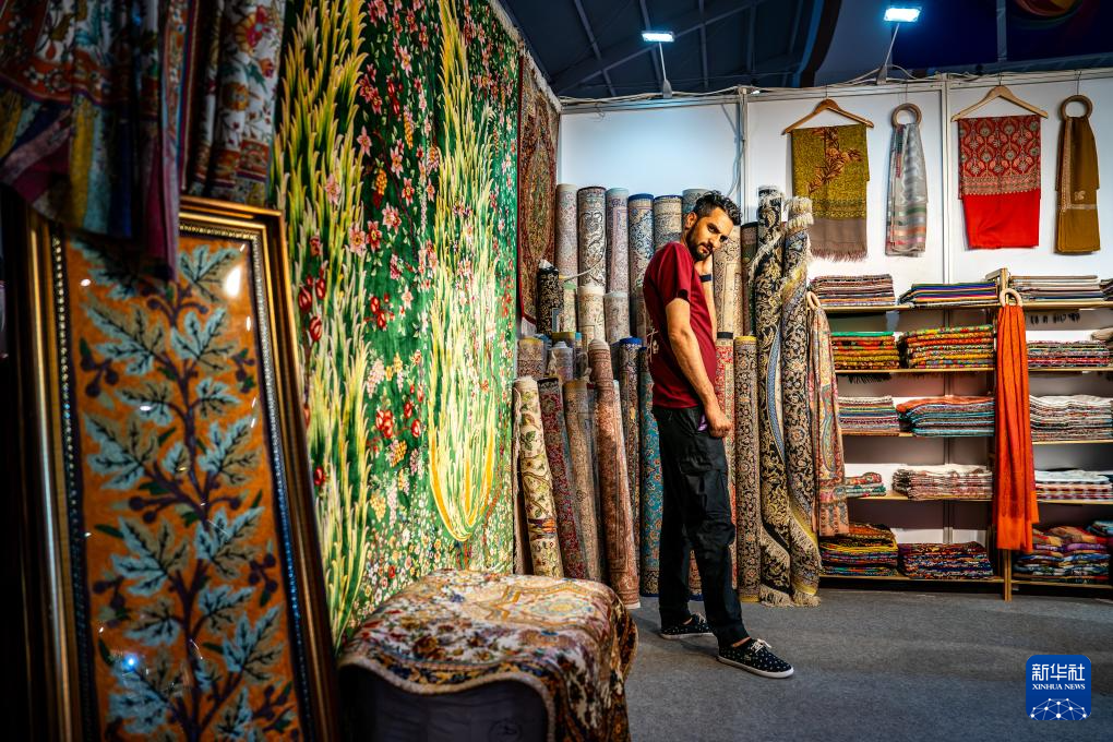 第9届中国—南亚博览会闭幕(图12)